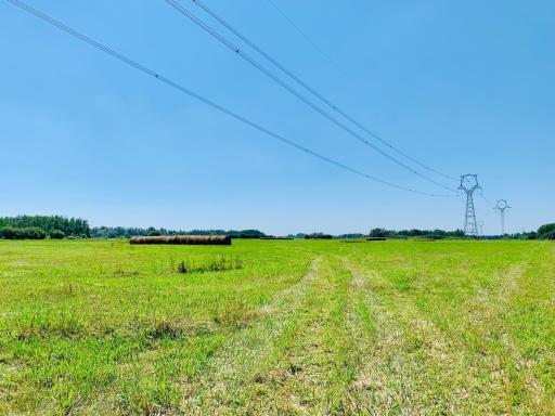 Hayed field from 2024