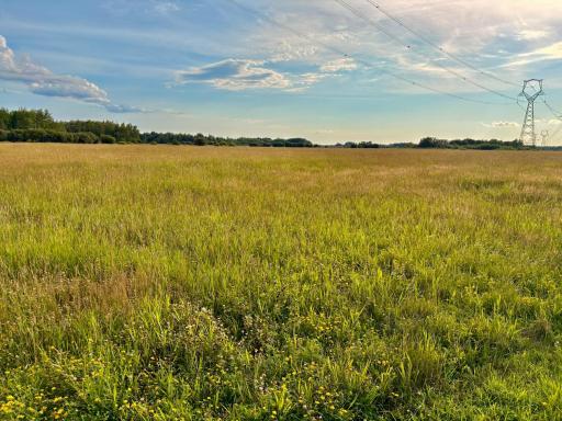TBD 13th Ave SW, Baudette, MN 56623