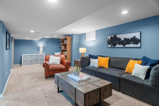 large basement for movies, playroom, entertaining