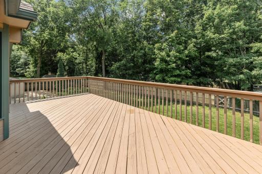 Expansive deck overlooking huge back yard