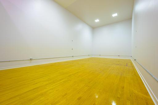The second of two regulation sized racquetball courts (20'Wx40'Lx20'H)