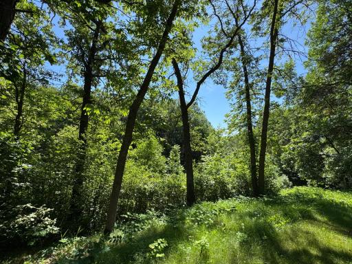 40101 River Oaks Drive, Roseau, MN 56751