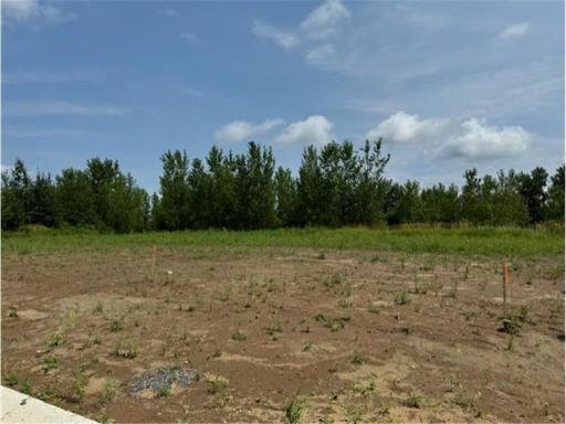 xx1 Fitzgerald Avenue, Rush City, MN 55069