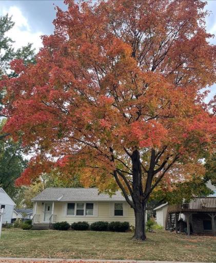 Photo for 745 24th Avenue N, Saint Cloud, MN 56303 - listing #6769596 745 24th Avenue N, Saint Cloud, MN 56303