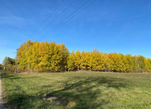 TBD 141st Ave, Osakis, MN 56360