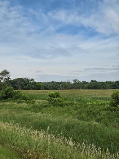 TBD Lake Blvd, Shafer, MN 55074
