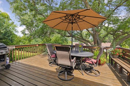 Deck with built in bench and gently shaded by honey locust tree.