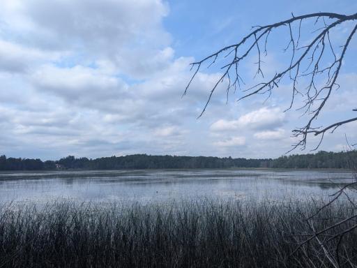 TBD Dobosenski Road, Sturgeon Lake, MN 55783