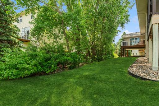 Mature trees offer privacy and shade along the side yard, creating a peaceful outdoor setting.