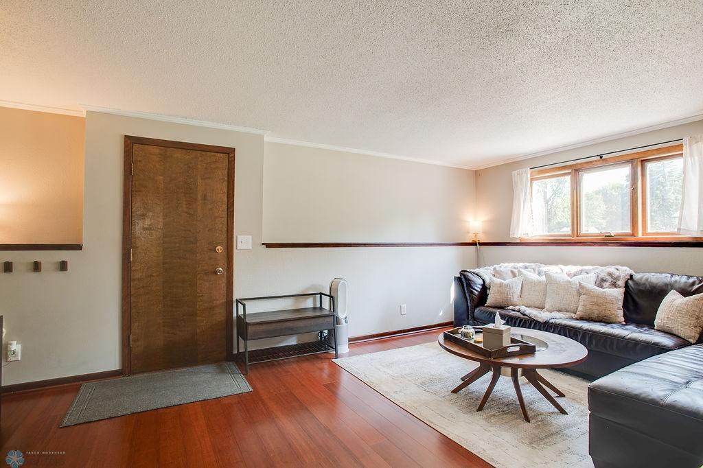 Lower level living room
