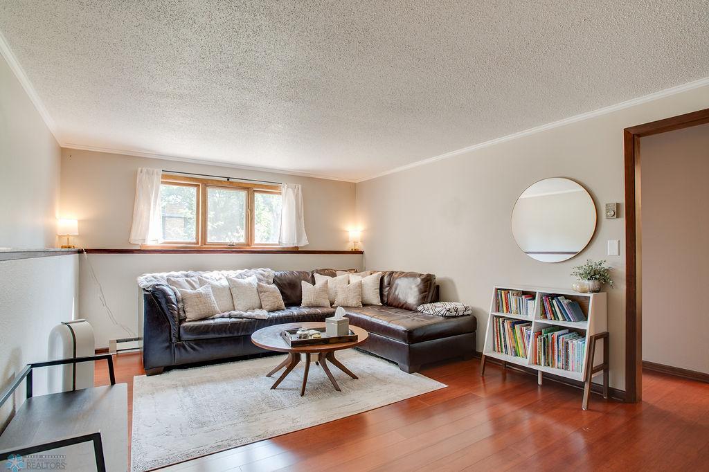 Lower level living room