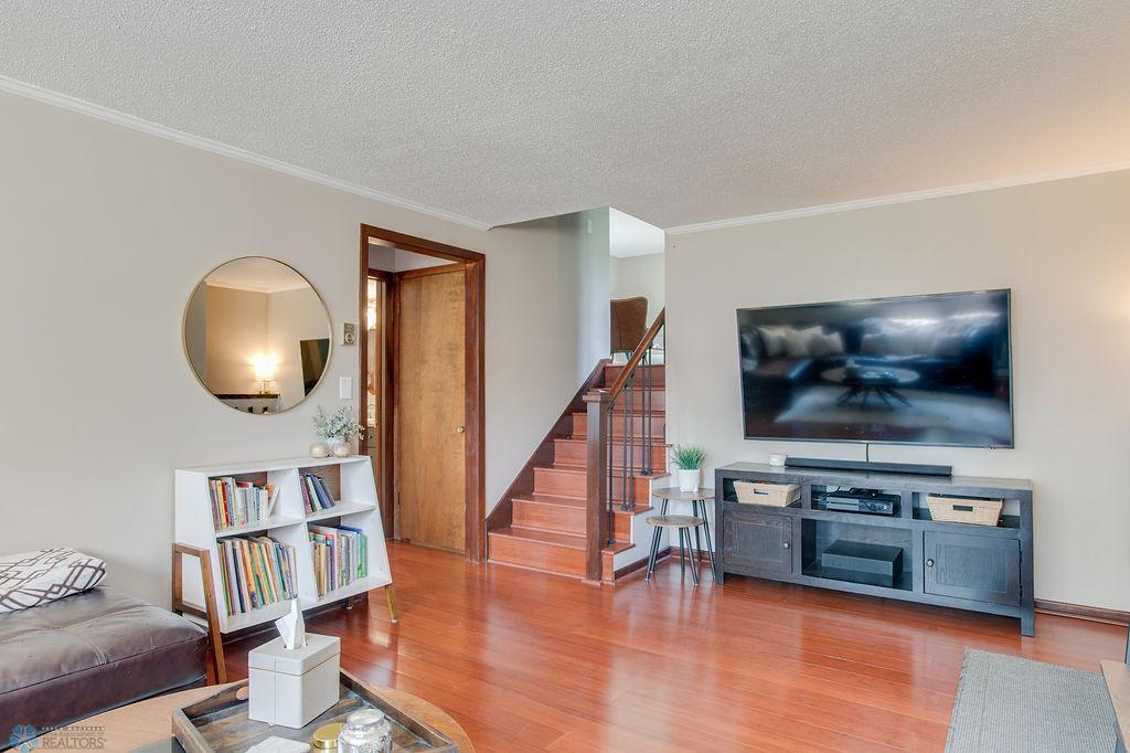 Lower level living room