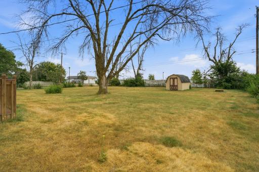 Back Yard