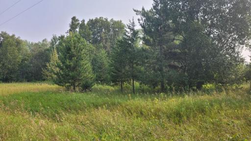 TBD* 16th Street SW, Backus, MN 56435