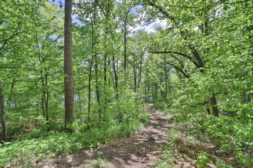 17472 N Eagle Lake Road, Fifty Lakes, MN 56448
