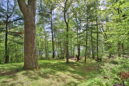 17472 N Eagle Lake Road, Fifty Lakes, MN 56448