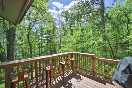 17472 N Eagle Lake Road, Fifty Lakes, MN 56448