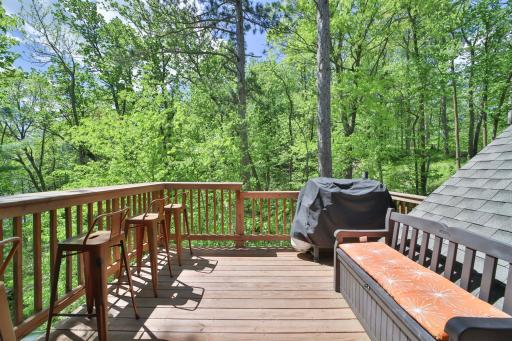 17472 N Eagle Lake Road, Fifty Lakes, MN 56448