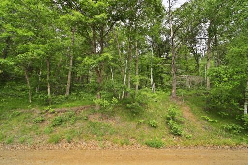 17472 N Eagle Lake Road, Fifty Lakes, MN 56448