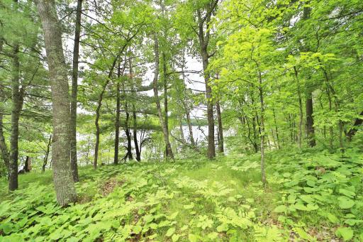 17472 N Eagle Lake Road, Fifty Lakes, MN 56448