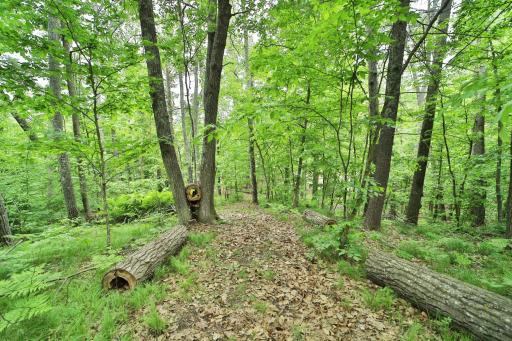 17472 N Eagle Lake Road, Fifty Lakes, MN 56448