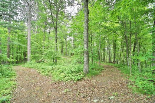 17472 N Eagle Lake Road, Fifty Lakes, MN 56448
