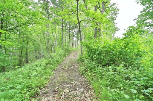 17472 N Eagle Lake Road, Fifty Lakes, MN 56448