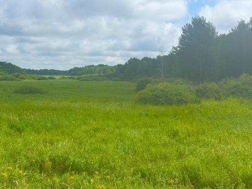 View from 370th Ave along West Property Line