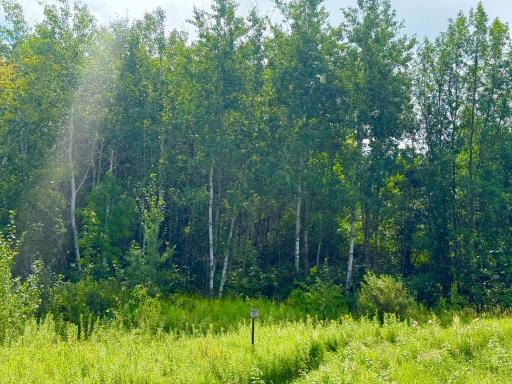 View from 370th Ave along West Property Line