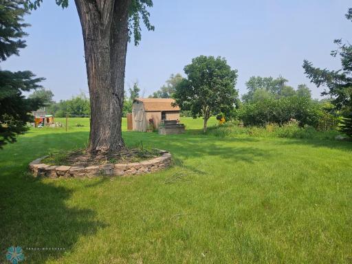 shed in back yard