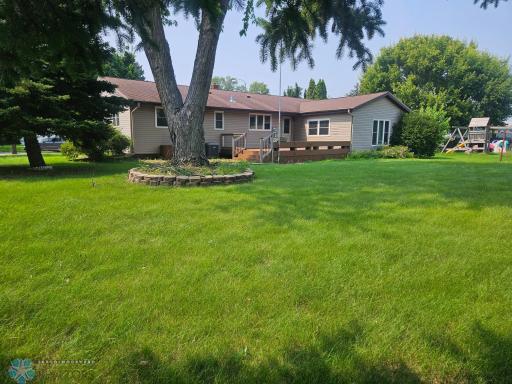 Back yard