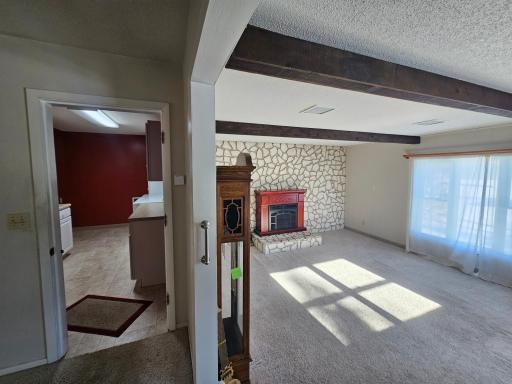 Large family room
