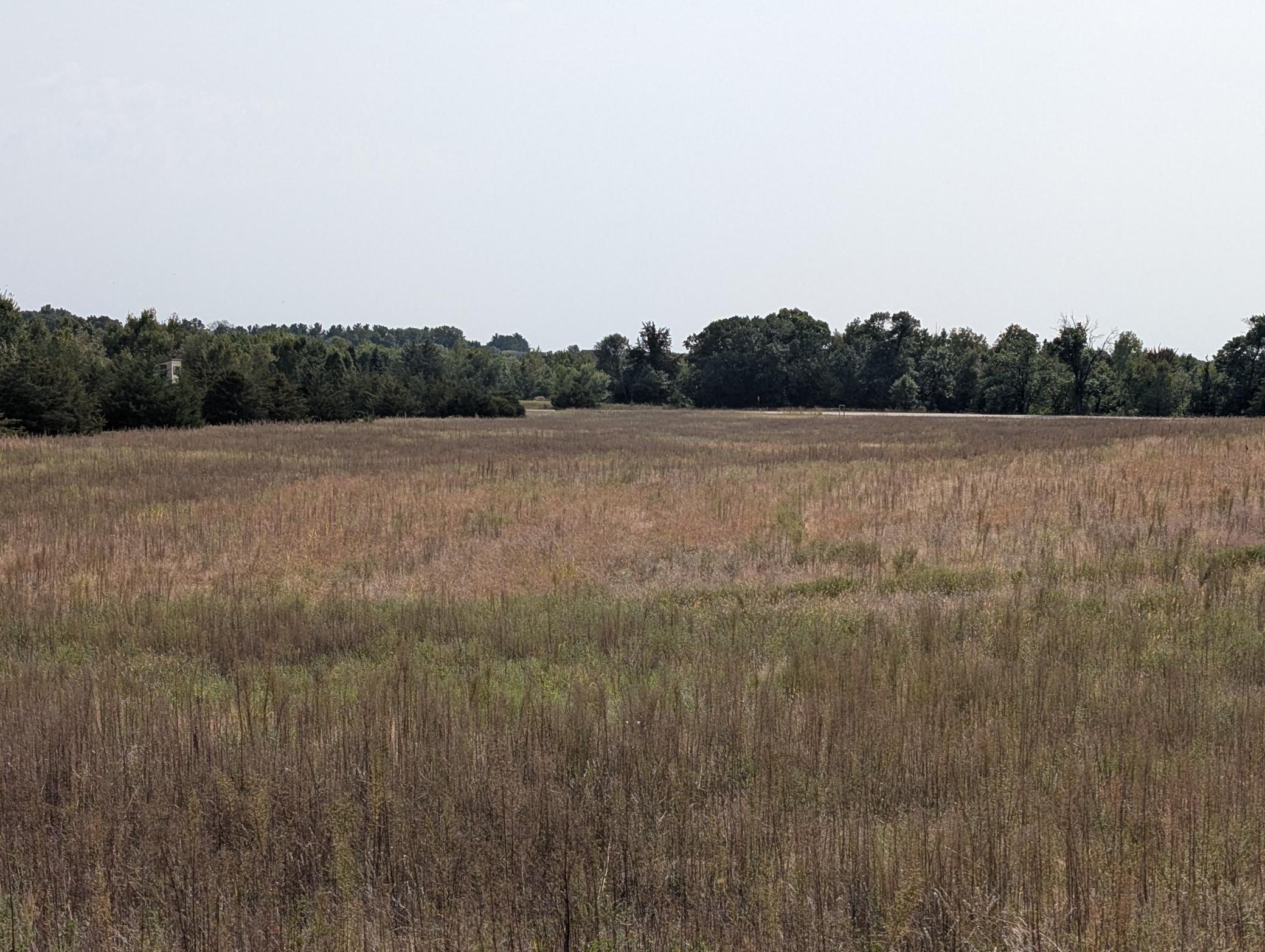 Absolutely beautiful views of wide open and wooded countryside. The forested 26 Acre city park is adjacent to dozens of homesites.