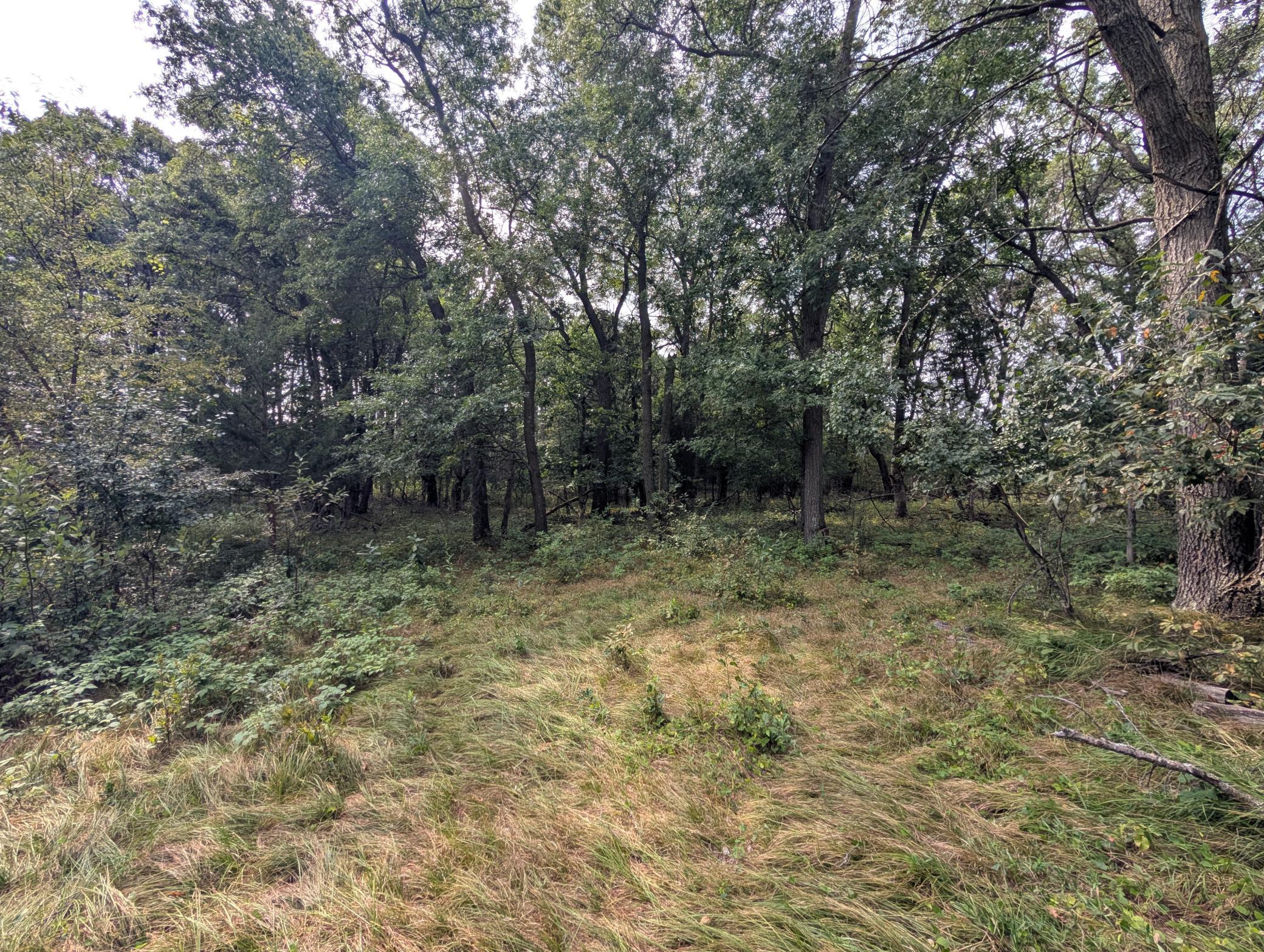 Mature hardwoods surround small quiet meadows perfect for your walkout home offering "up north" privacy.