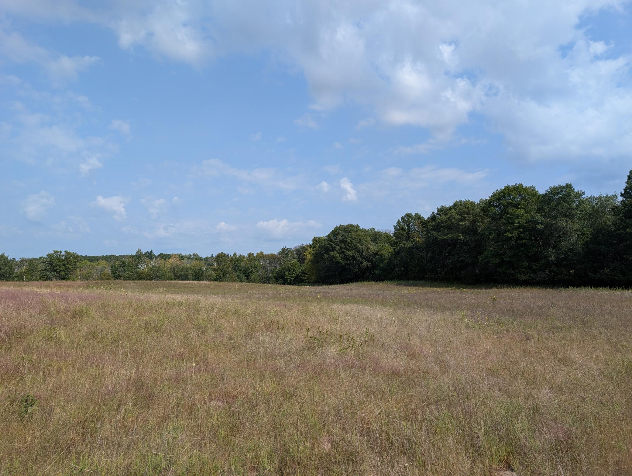 Bring your dreams to these hilltop home sites that overlook heavily wooded tree lines, and 27 acre woodland- wetland (Assoc. Owned) teaming with wildlife.