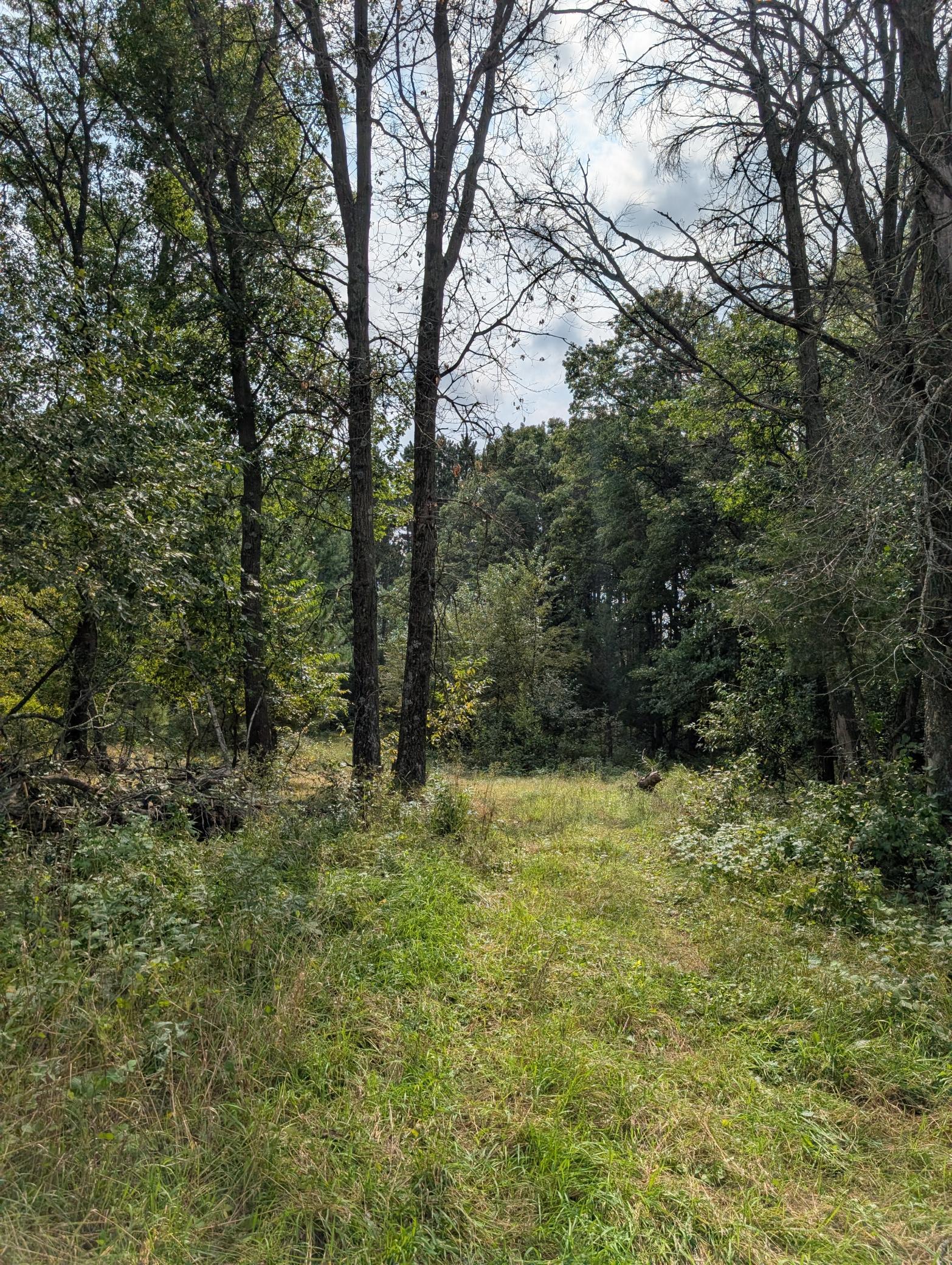 217 Acres of the Meadow Sweet Bend community sunshine fields and quiet meadows flow into heavily wooded forested areas where mature trees shadow hidden trails.