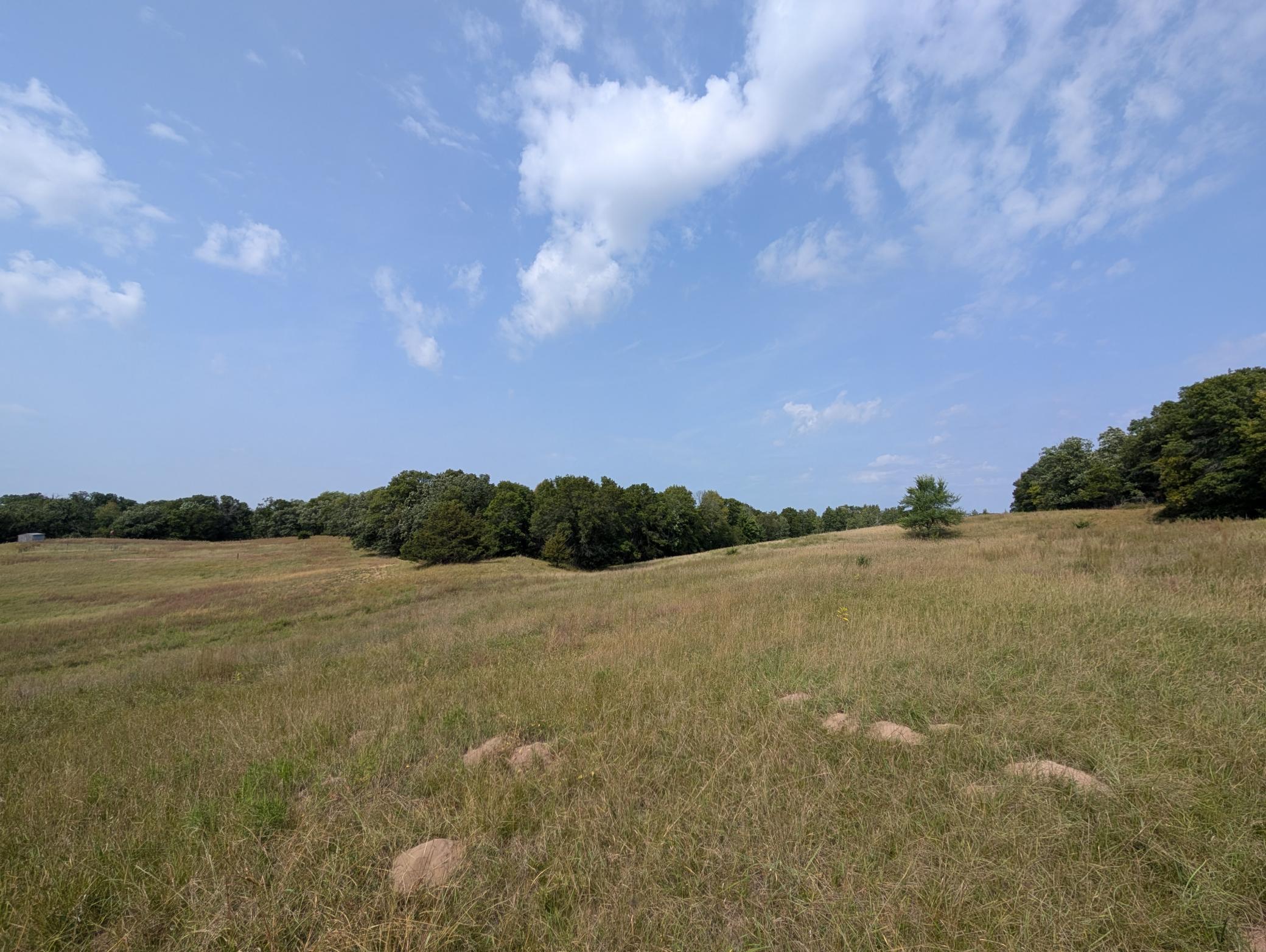 Rolling Hills divide wood lines & forests offering hilltop and walkout home sites surrounded by quiet meadows and wildlife.
