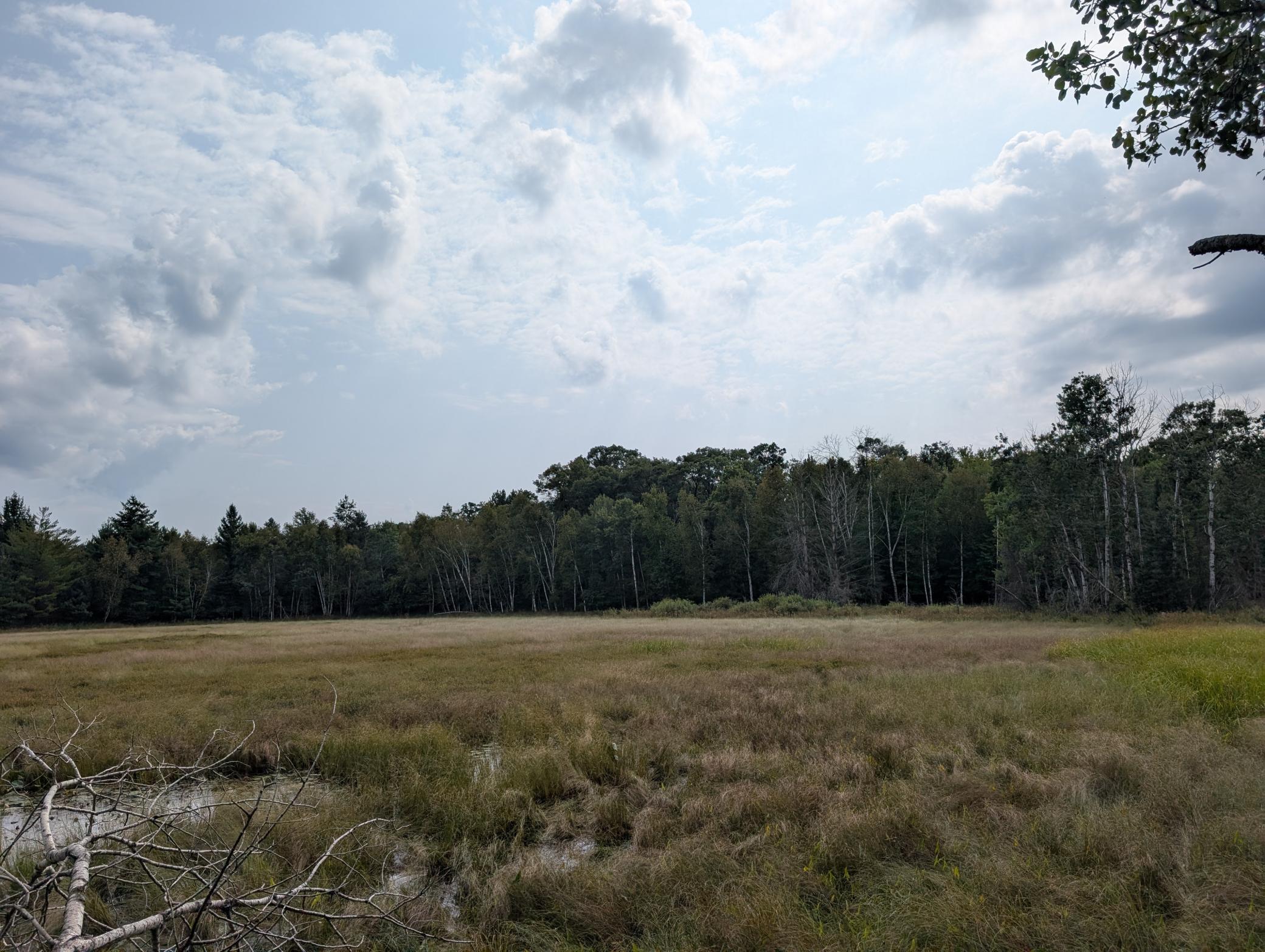 Many forested homesites overlook the large open water protected wetland area. Enjoy walkout private sites watching wildlife and sunsets - sunrises.