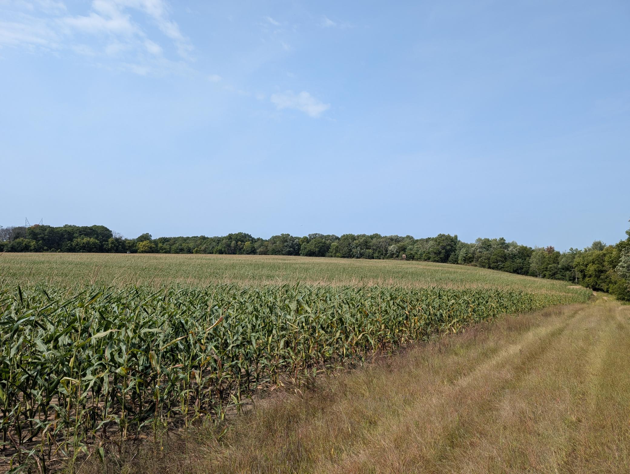 Wide open countryside views overlooks 26 Acre Burr Oak Park. Wooded ravines, woodlines and a woodland- wetlands which is Assoc. owned!