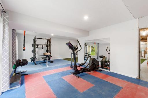 Lower Level Walkout Currently used as a home gym