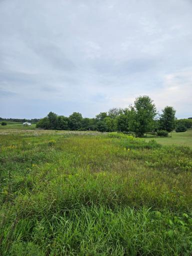XXX 150th Avenue, Balsam Lake, WI 54810