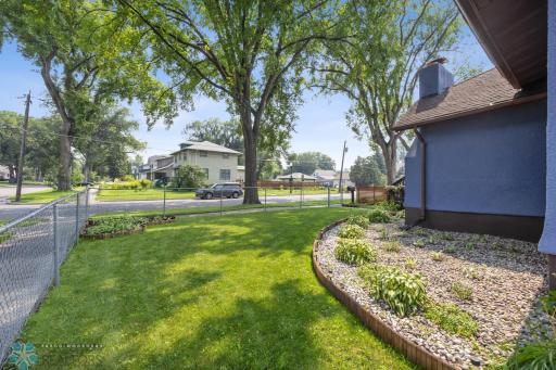 side yard.jpg