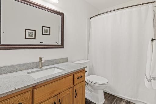 29412 125th Street NW, Princeton, MN 55371