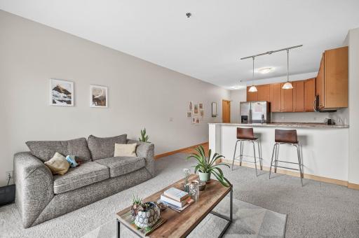 2900 University Avenue SE, 302, Minneapolis, MN 55414