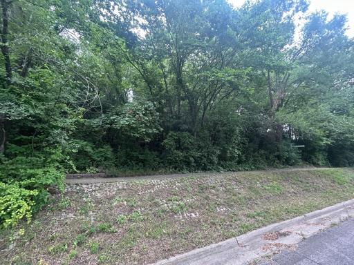 18 Bates Avenue, Saint Paul, MN 55106