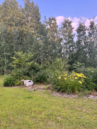 15387 US 71, Sauk Centre, MN 56378
