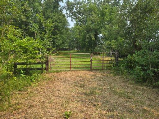 TBD State 87 SW, Backus, MN 56435