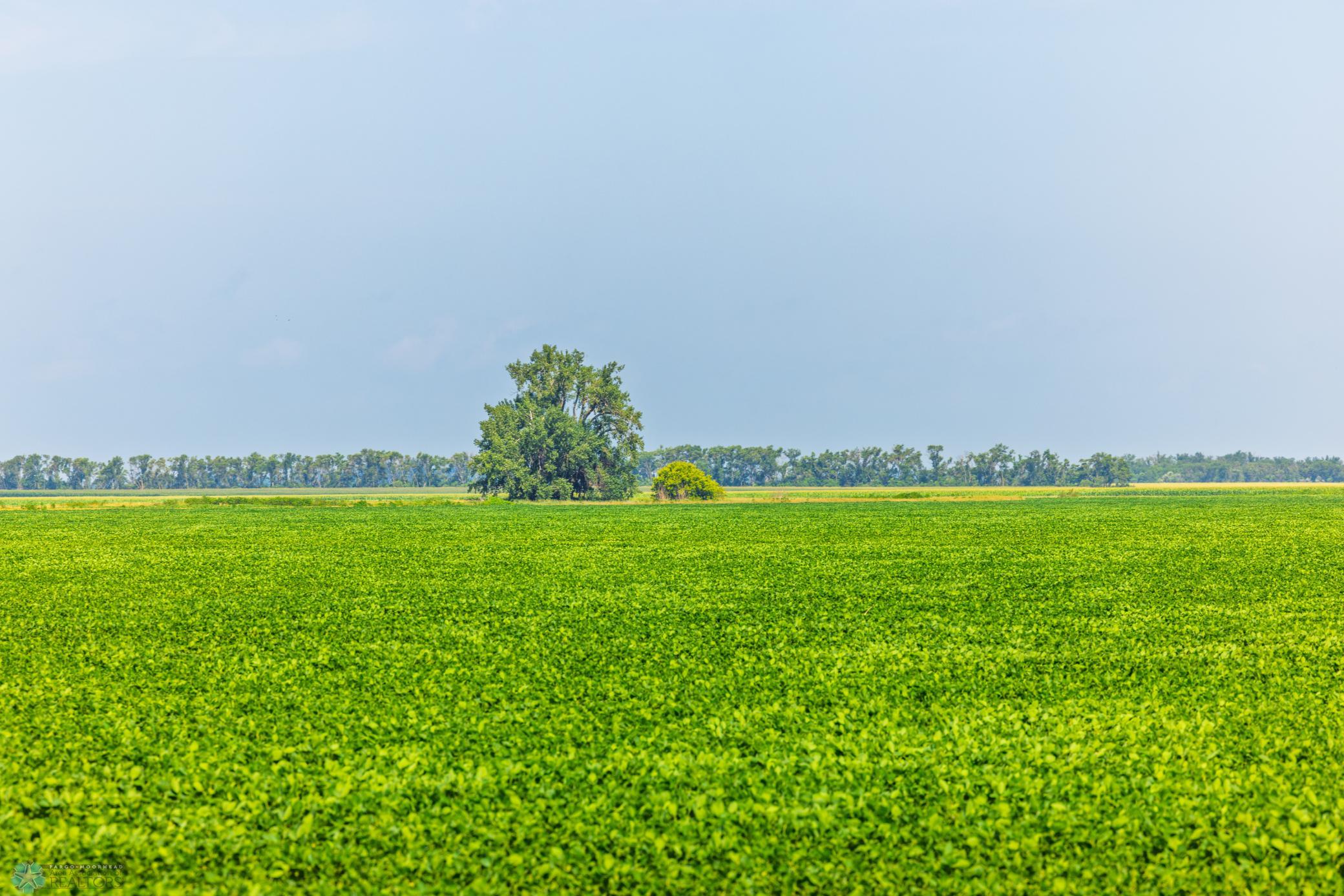 Amdak__Richland County - 318.52 Acreas_0003.jpg