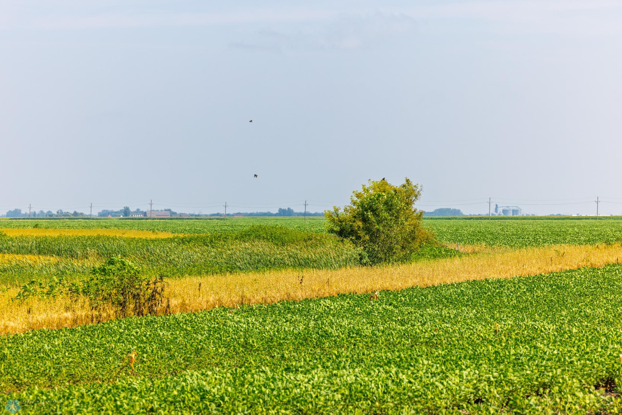 Amdak__Richland County - 318.52 Acreas_0029.jpg