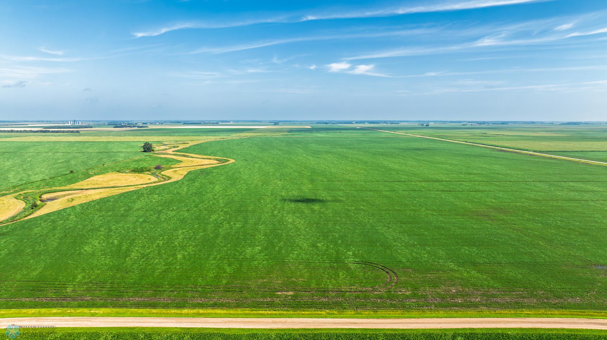 Amdak__Richland County - 318.52 Acreas_0023.jpg